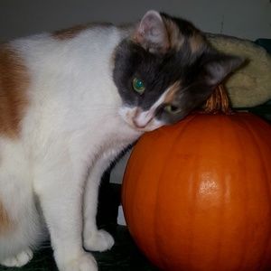 Meet your Posher, Lori